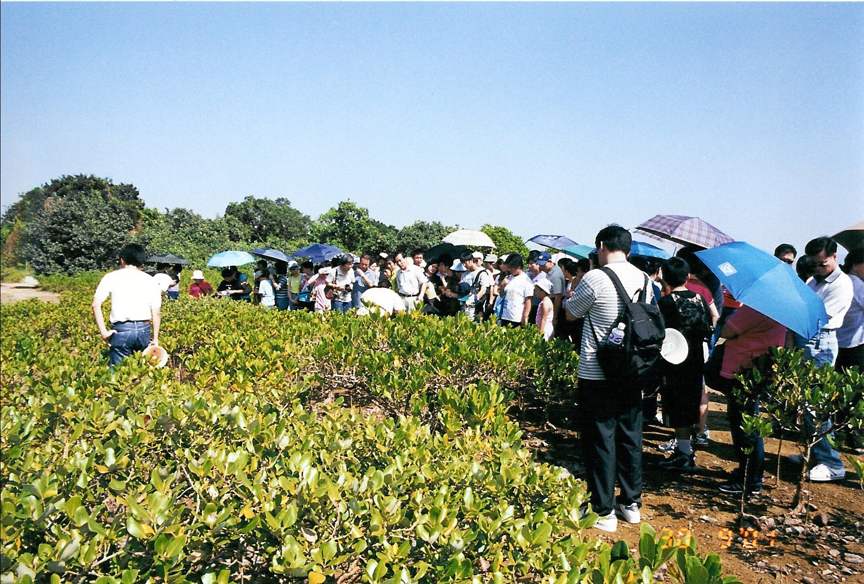 Images/picnic2.jpg